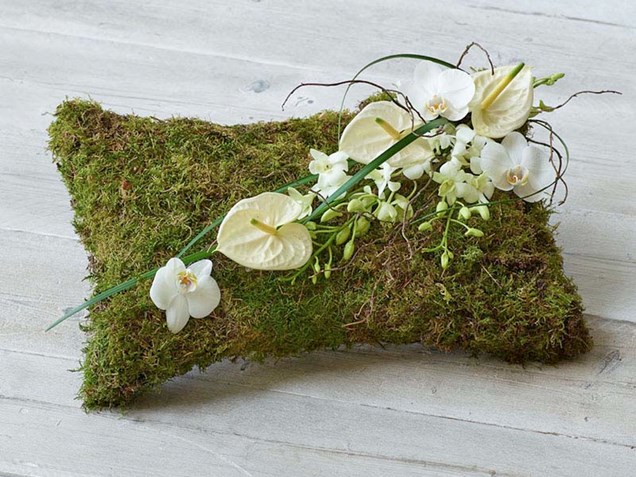 White Natural Pillow image