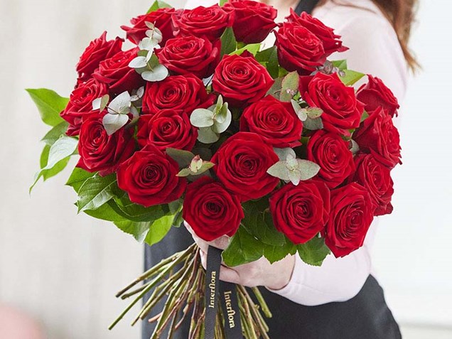 24 Sumptuous Red Roses image
