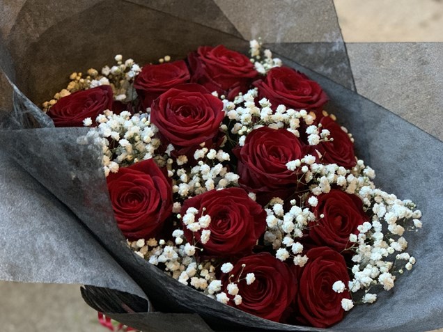Red Roses and Gyp image