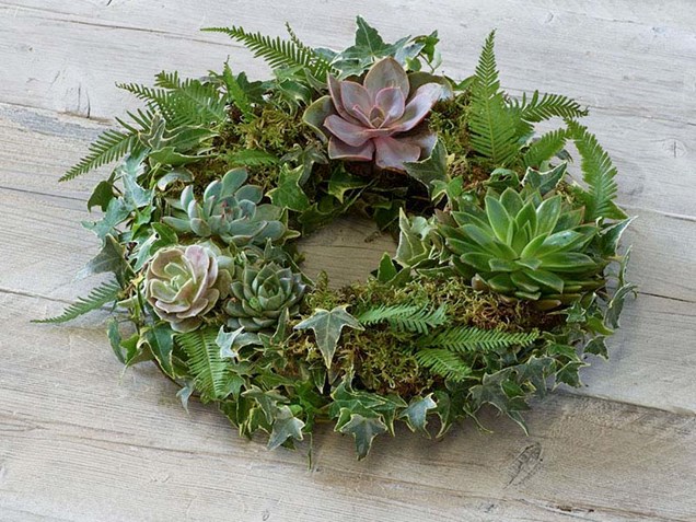 Living Succulent Wreath image