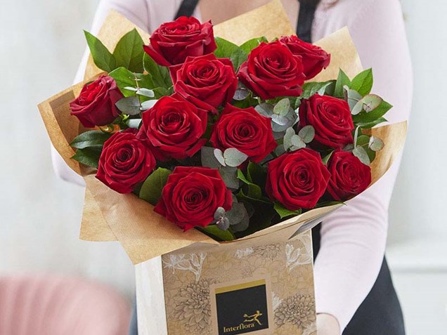 Dozen Luxury Red Roses image